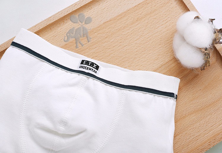 Boys Underwear Children Panties Boys Cotton Boxer Shorts Children's Panties Kids Underwear For 2-16 years 5 pcs Boys Underwear Children Panties Boys Cotton Boxer Shorts Children's Panties Kids Underwear For 2-16 years 5 pcs